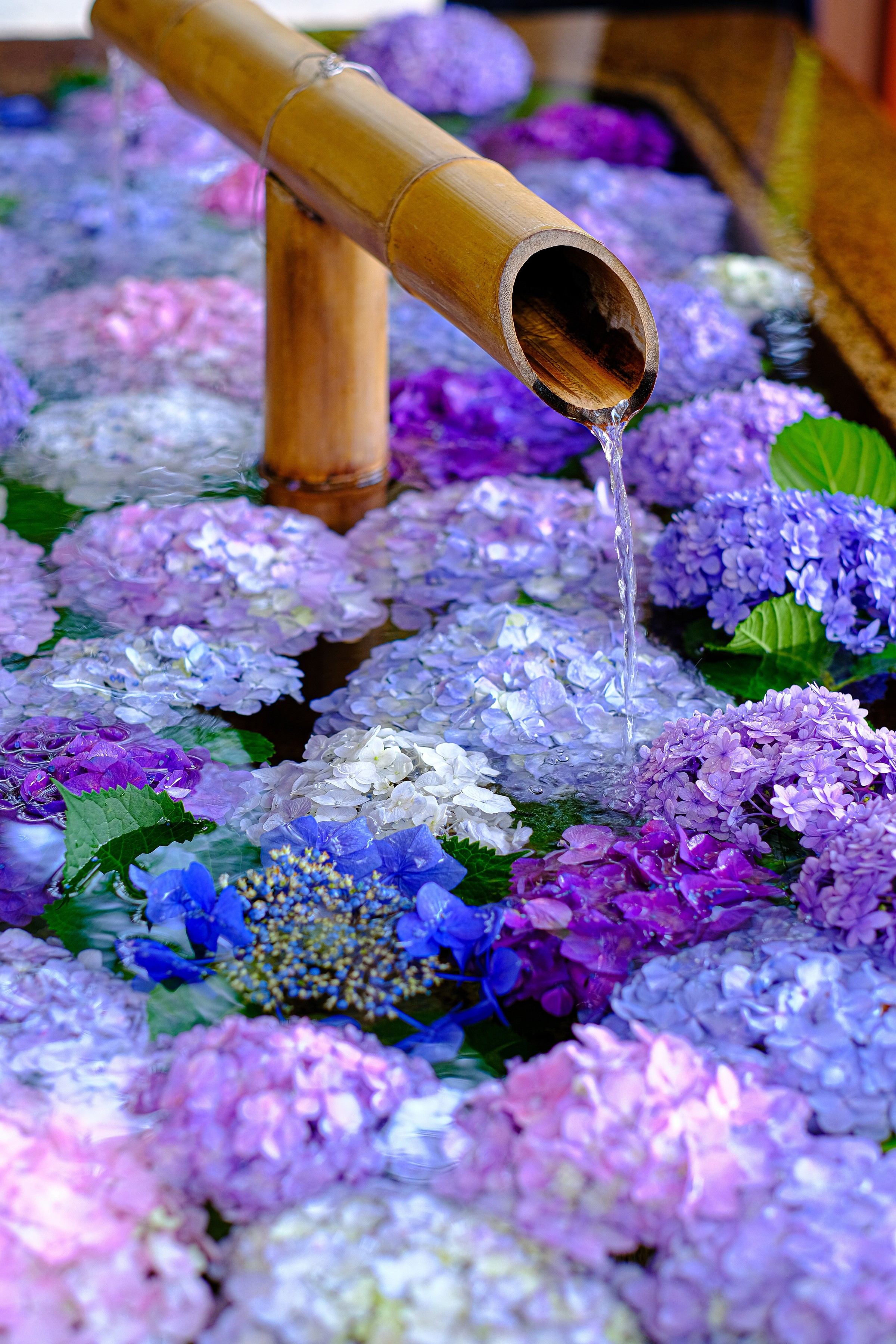 花手水