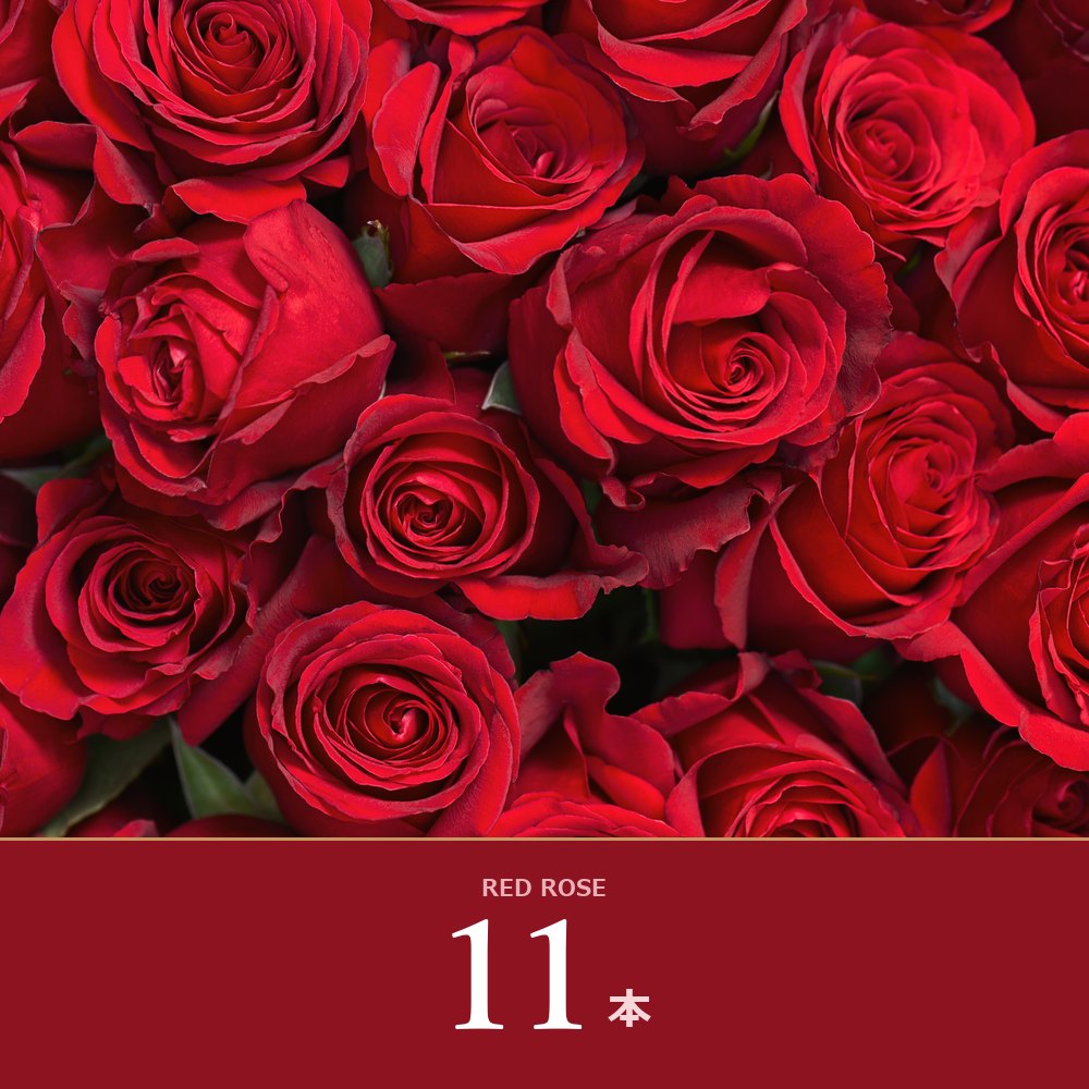 赤バラ11本の花束